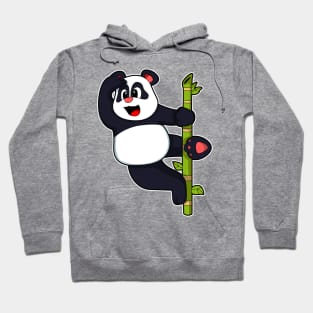 Panda with Bamboo Hoodie